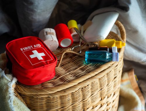 Pet Emergency Preparedness: Be Ready for the Unexpected