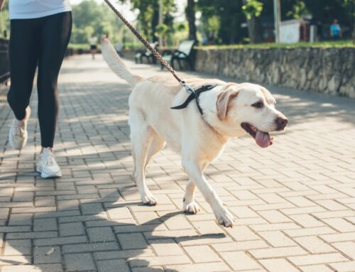 Overexertion and Exercise-Related Collapse